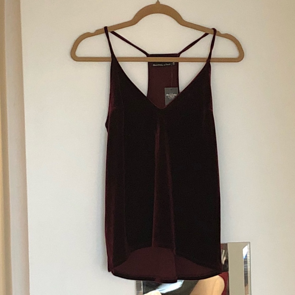 Deep burgundy velvet camisole